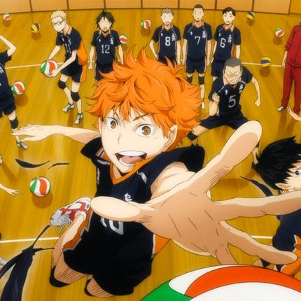 排球少年 Haikyu!! - FUNIMECITY