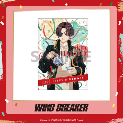 WIND BREAKER | Birthday Series Suo Hayato Set