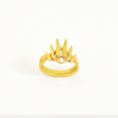 Ring (54mm)