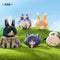 New Releases