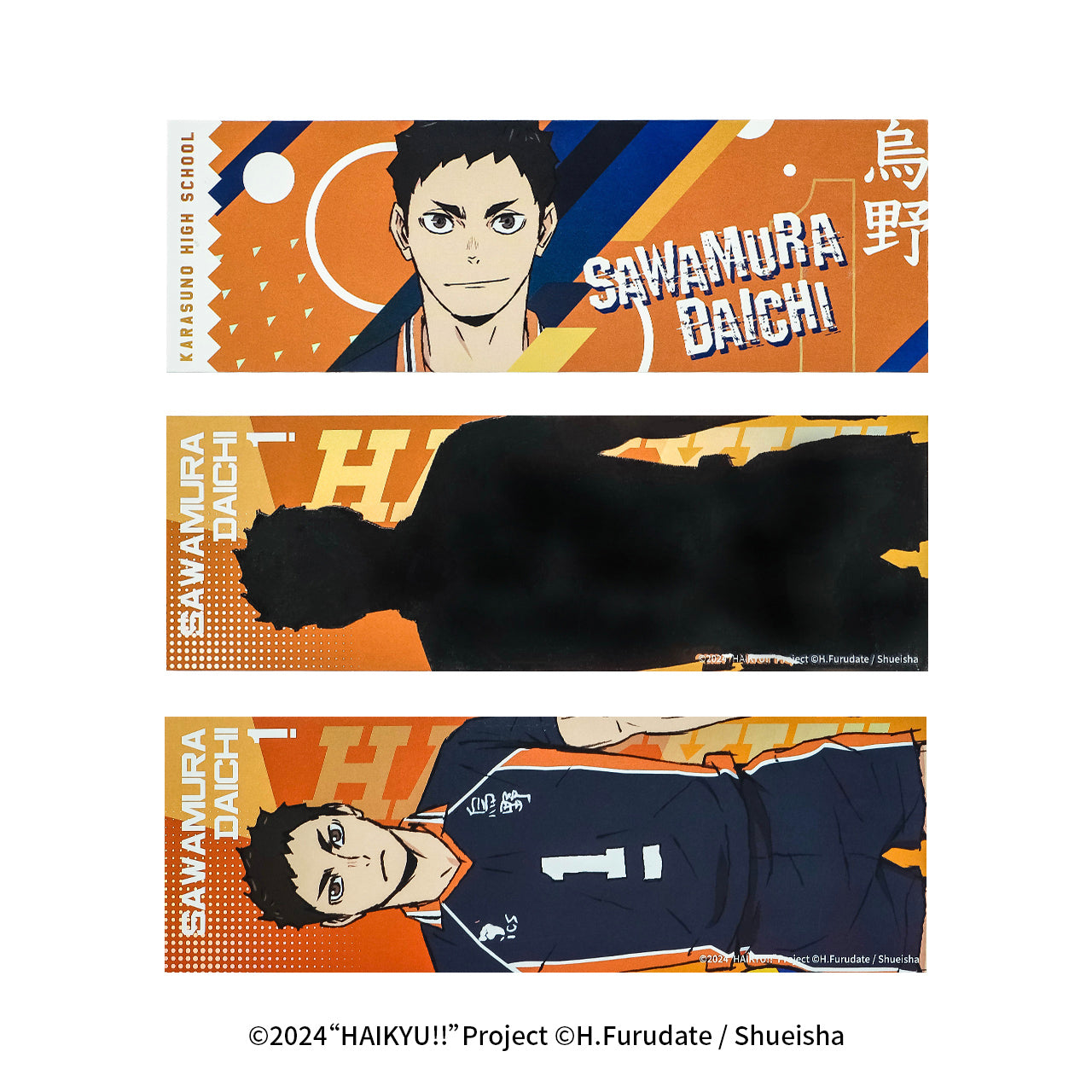 Haikyu!! | The Dumpster Battle Series Set 2