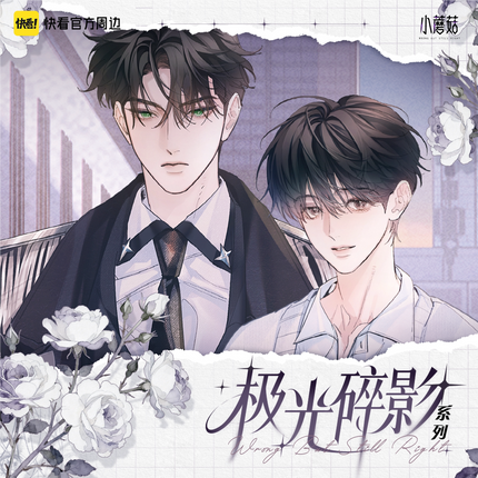 Little Mushroom | Ji Guang Sui Ying Series Badge Blind Box