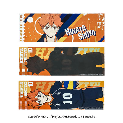 Haikyu!! | The Dumpster Battle Series Set 2