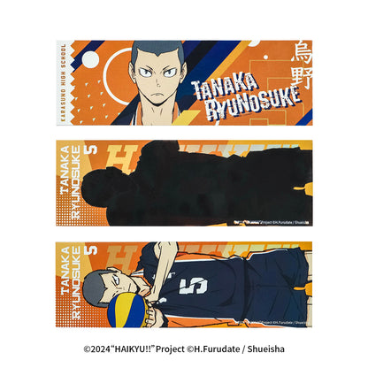 Haikyu!! | The Dumpster Battle Series Set 2