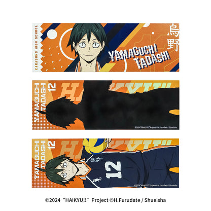 Haikyu!! | The Dumpster Battle Series Set 2