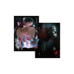 海礁蚀蝶系列 / Polaroid (63*89mm)