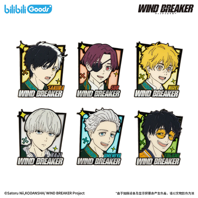 WIND BREAKER | Feng Zhi Shou Hu Series Metal Pin & Charm Blind Box