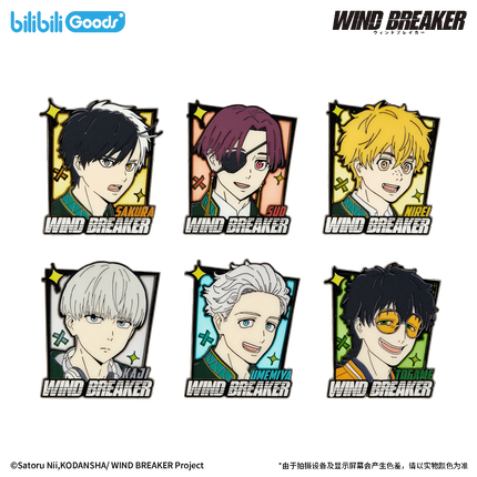 WIND BREAKER | Feng Zhi Shou Hu Series Metal Pin & Charm Blind Box