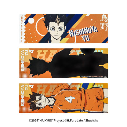 Haikyu!! | The Dumpster Battle Series Set 2