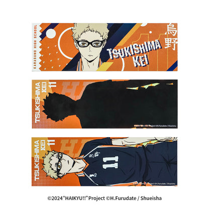 Haikyu!! | The Dumpster Battle Series Set 2