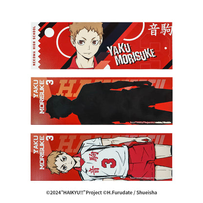 Haikyu!! | The Dumpster Battle Series Set 2