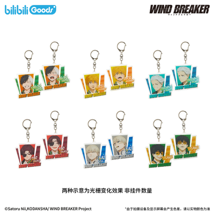 WIND BREAKER | Feng Zhi Shou Hu Series Metal Pin & Charm Blind Box