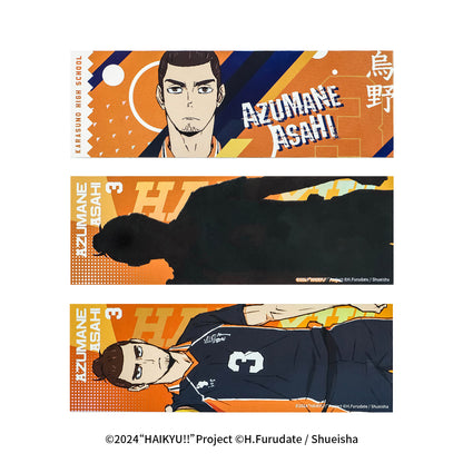 Haikyu!! | The Dumpster Battle Series Set 2