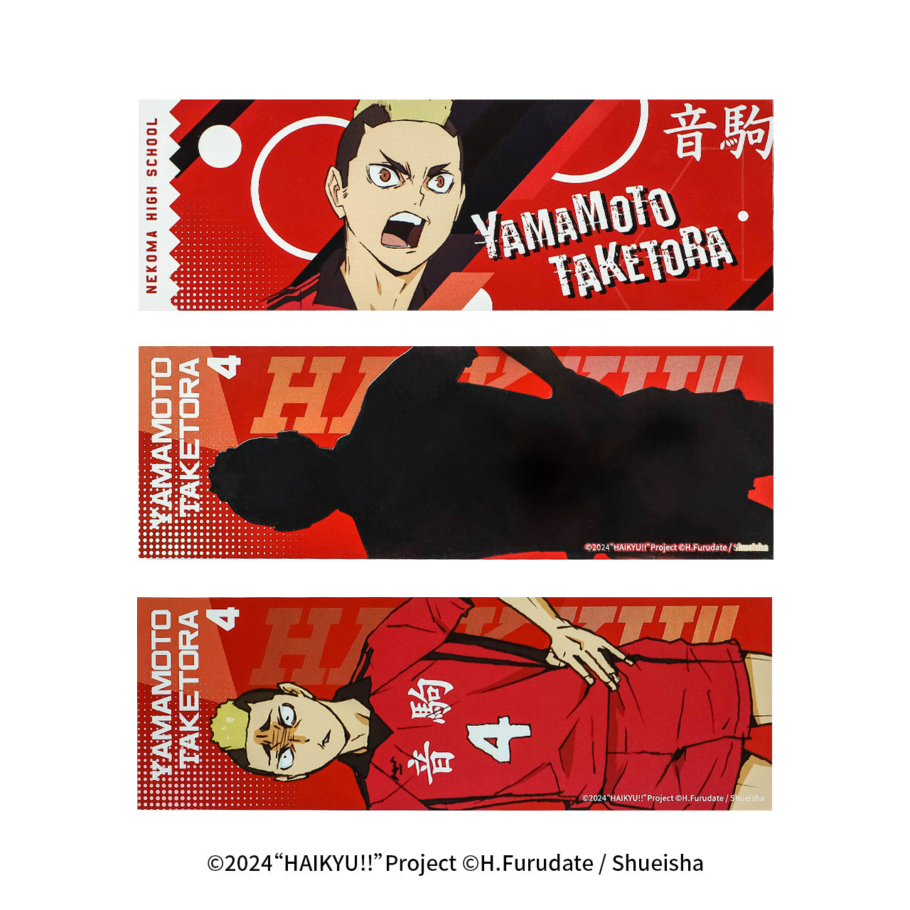 Haikyu!! | The Dumpster Battle Series Set 2