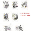 同频系列 / Polaroid Blind Box-Random One