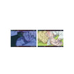 Postcard Set (2 postcards) / 148*100mm / Luka-A