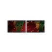 Postcard Set (2 postcards) / 148*100mm / Red-B