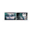 Postcard Set (2 postcards) / 148*100mm / Till-B