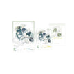 17岁&偶遇&小豆丁系列 / Transparent Card+Polaroid Card(10*14cm+63*89mm) - 17 year