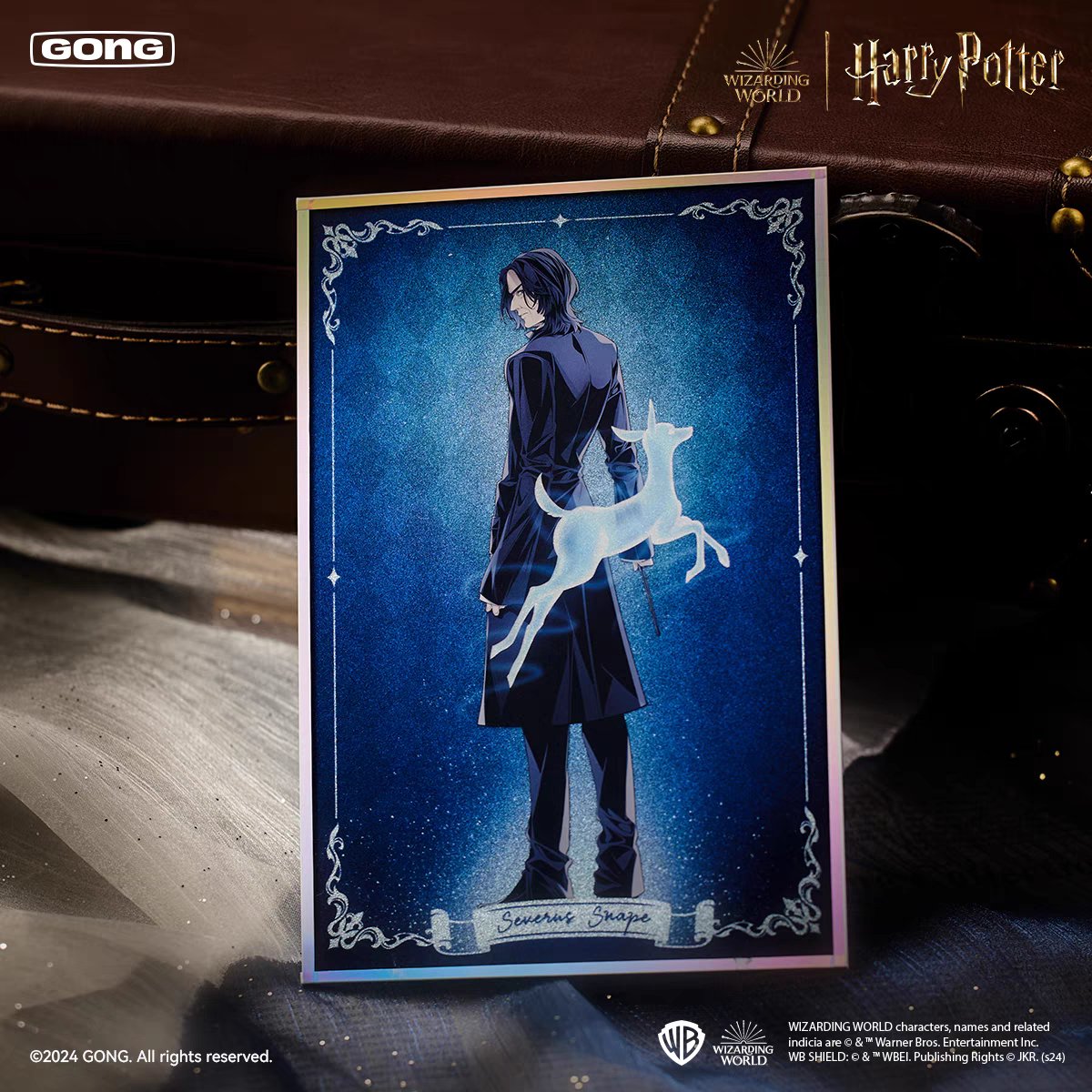 Harry Potter | Shou Hu Shen Zhou Series Badge & Shikishi Board Blind Box GONG - FUNIMECITY