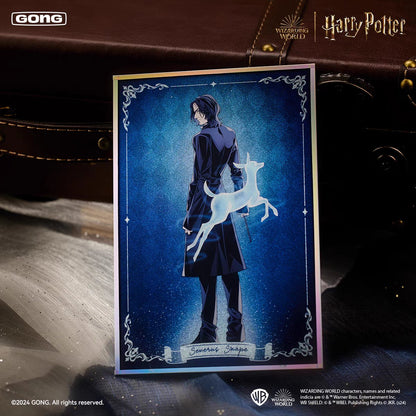 Harry Potter | Shou Hu Shen Zhou Series Badge & Shikishi Board Blind Box GONG Anime Goods - FUNIMECITY