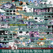Vol.5 (Novel)-Two-volume Set / Premium Bonus(Extra Goods)