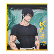Shikishi Board / Toji Fushiguro