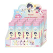 三丽鸥家族系列 / Pen Blind Box-One Box (12 Pens)