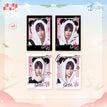 竹林深语系列 / Polaroid Card Set(63.5*89mm) / Rafayel