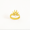 Ring (54mm)