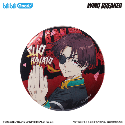 WIND BREAKER | Feng Zhi Shou Hu Series Badge Bilibili Anime Goods - FUNIMECITY
