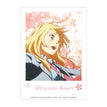 Polaroid / Miyazono Kaori -A