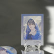 2023张起灵生日季 / Gu Ren Gui-Polaroid