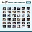 Polaroid Set-Shao Nian